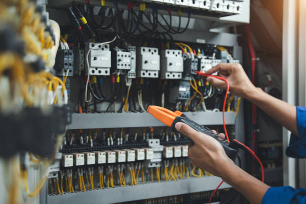 Best Electric Panel Repair  in Holley, FL